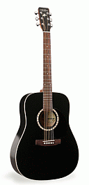 ART & LUTHERIE Cedar Dreadnought Black