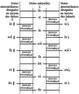 Représentation verticale de l'échelle chromatique