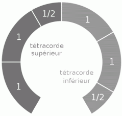 Représentation cyclique de l'échelle diatonique