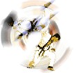 HAPKIDO - La Voie des Energies 
          Unifiées